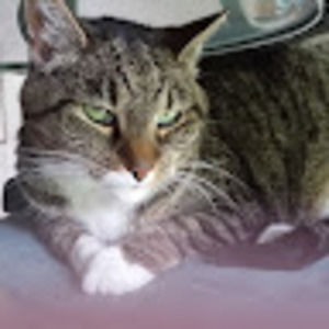 Meet your Posher, Barbara